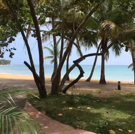 Lovely Beach Apartment In Tranquil Playa Bonita Las Terrenas Dominikánská republika